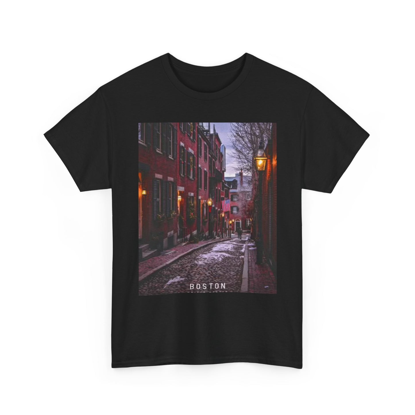 Boston Graphic T Shirt Vintage Retro Harbor Unisex Heavy Cotton Tee