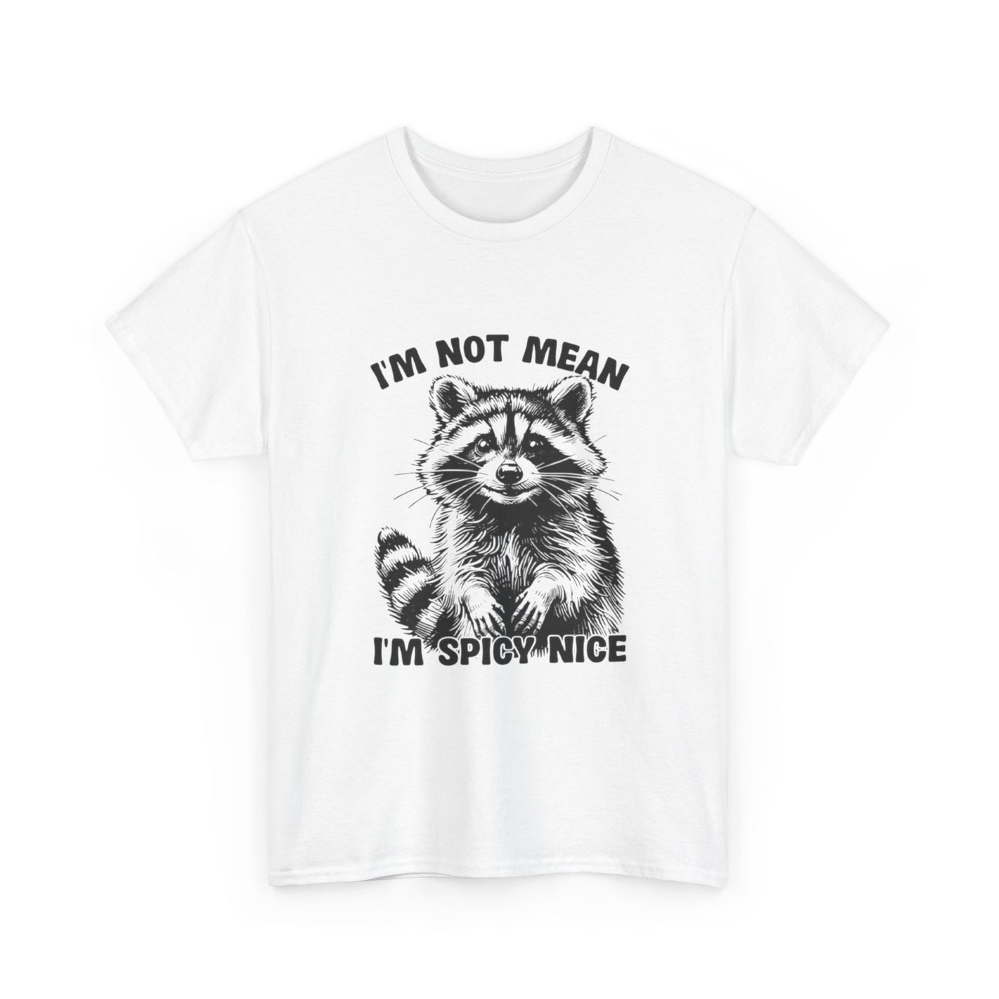 I'm Not Mean I'm Spicy Nice Funny Graphic T Shirt Unisex Heavy Cotton Tee