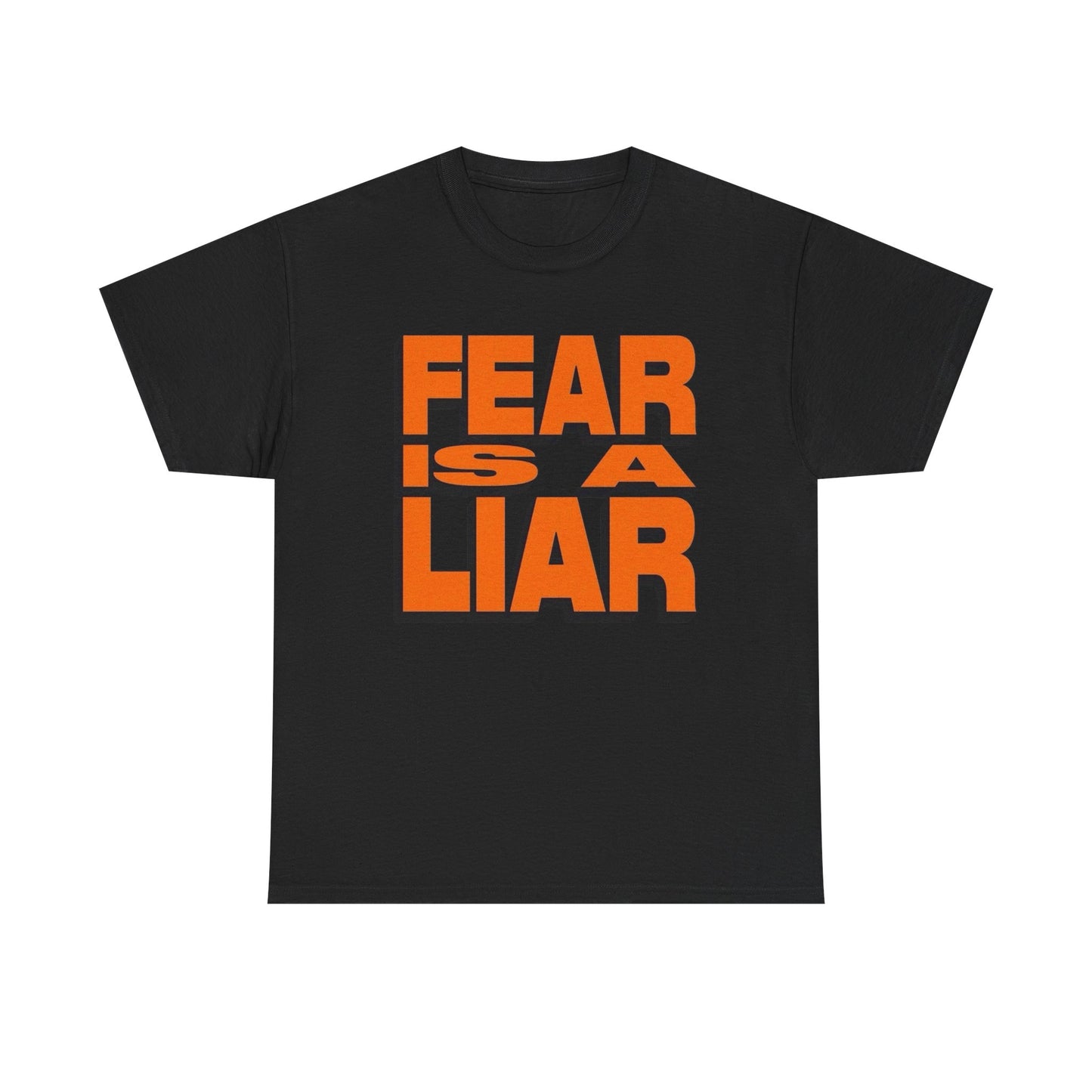 Fear Is A Liar Graphic T-Shirt Unisex Heavy Cotton Tee Gift