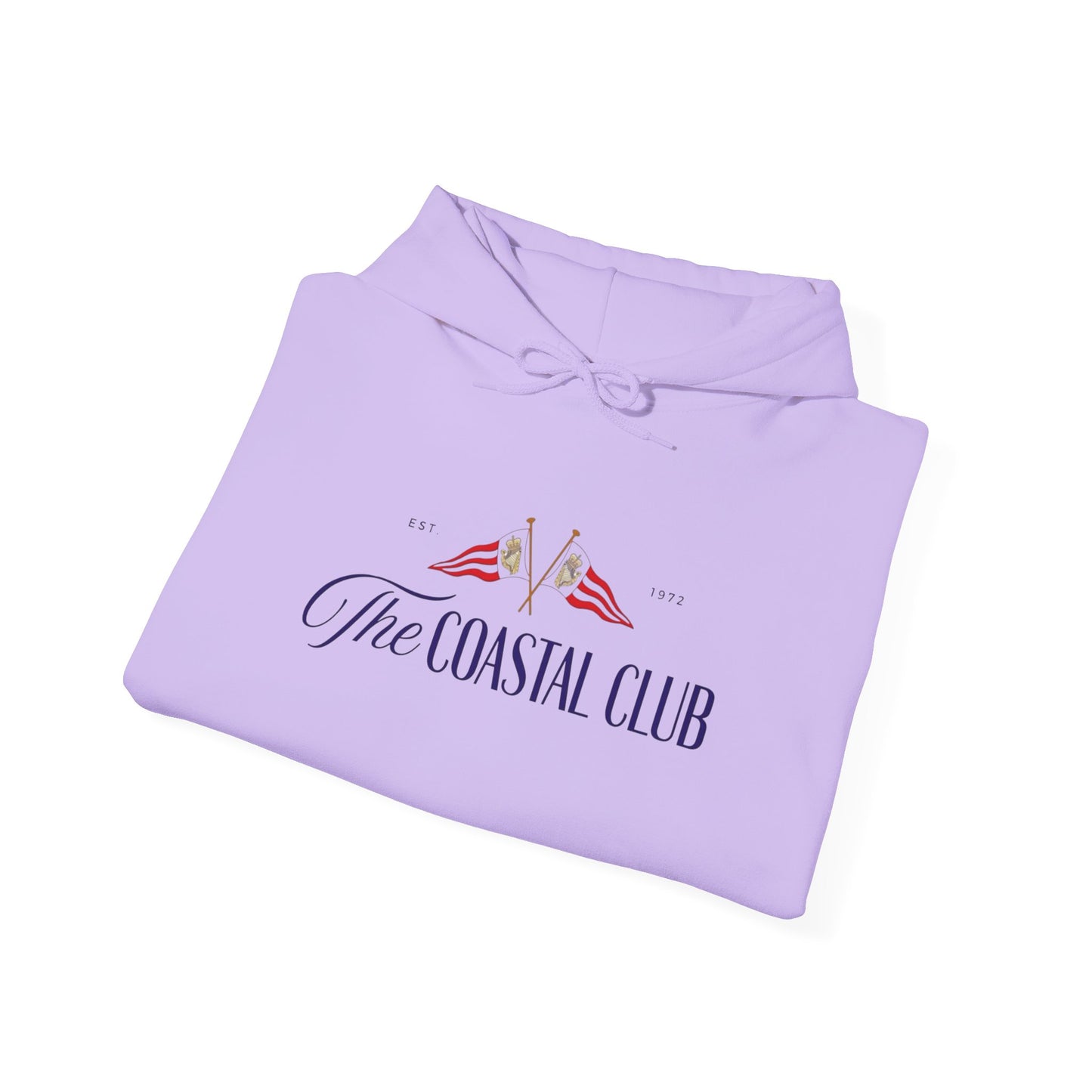 The Coastal Club Retro Graphic Hoodie Unisex Heavy Blend™ Hooded Sweatshirt