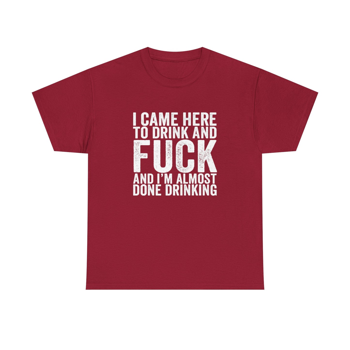 I Came Here To Drink Funny Graphic T Shirt NEW ADULT Unisex Heavy Cotton Tee