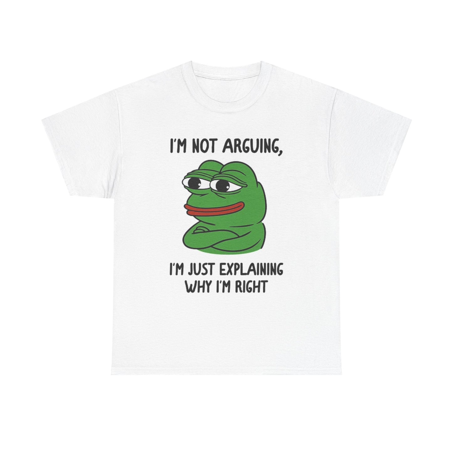 I'm Not Arguing Graphic T Shirt Funny Jokes Unisex Heavy Cotton Tee