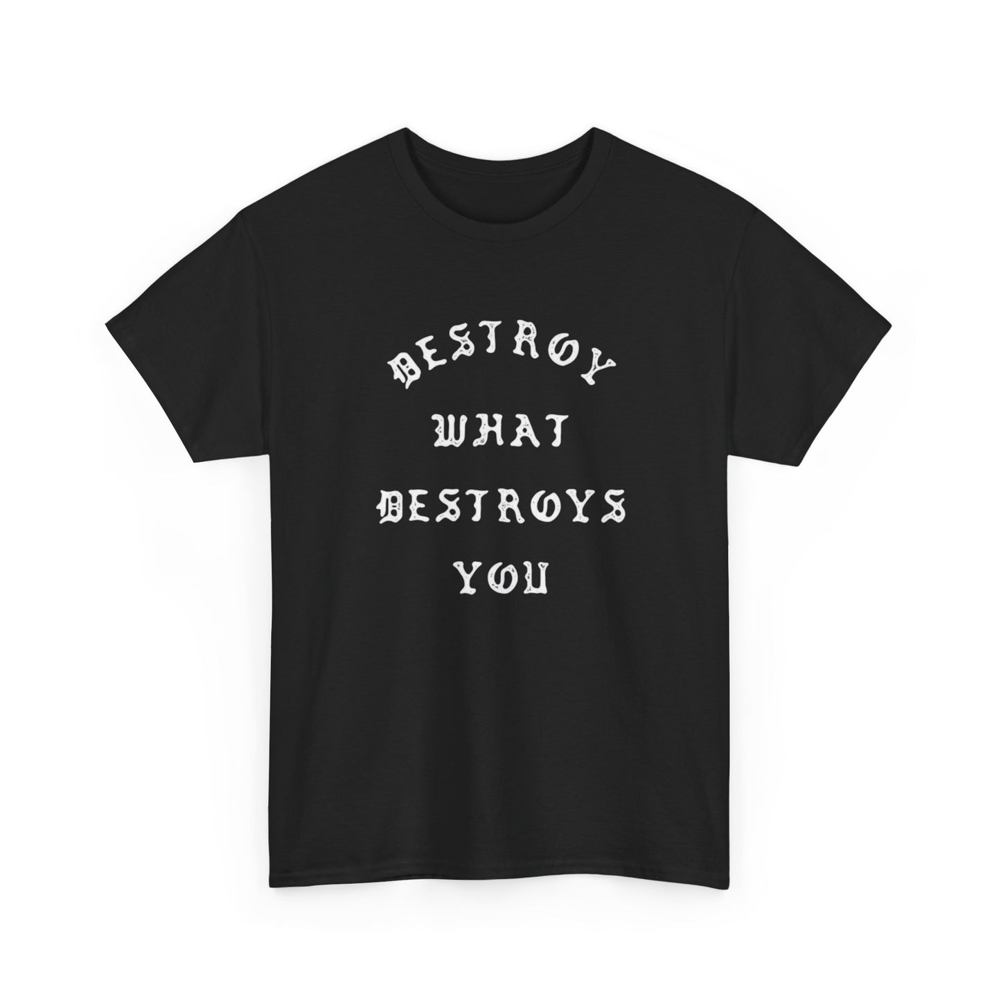Destroy What Destroys You Graphic T Shirt NEW ADULT TEE
