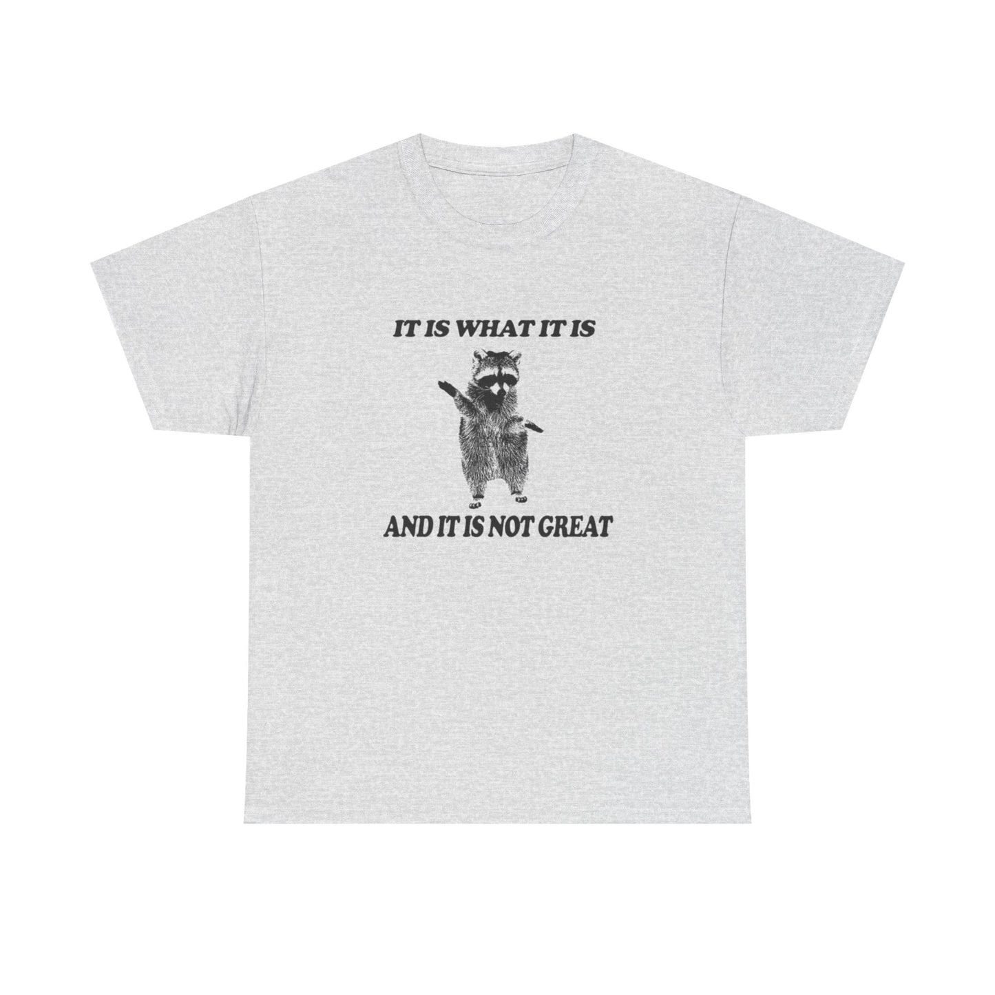 It Is What It Is Funny Raccoon Graphic T Shirt Unisex Heavy Cotton Tee