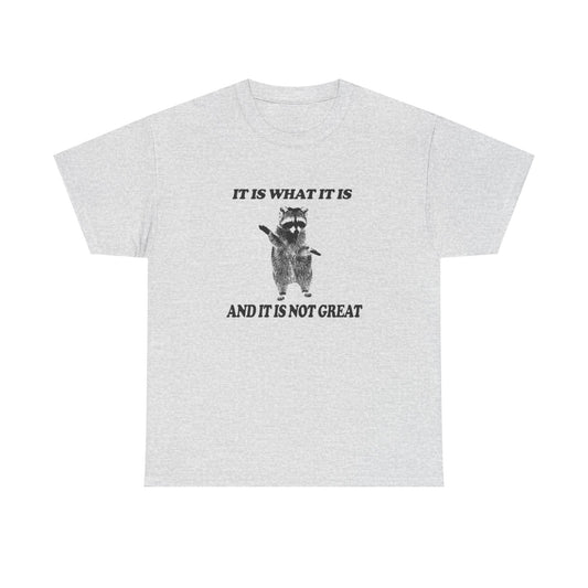 It Is What It Is Funny Raccoon Graphic T Shirt Unisex Heavy Cotton Tee