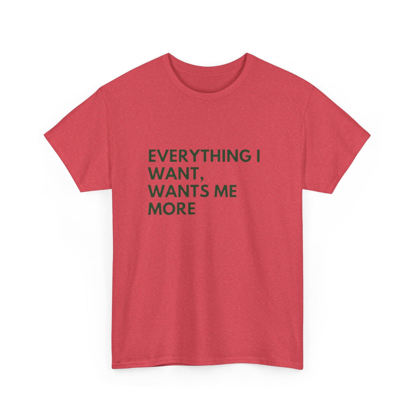 Everything I Want Wants Me More Graphic T Shirt NEW ADULT Tee