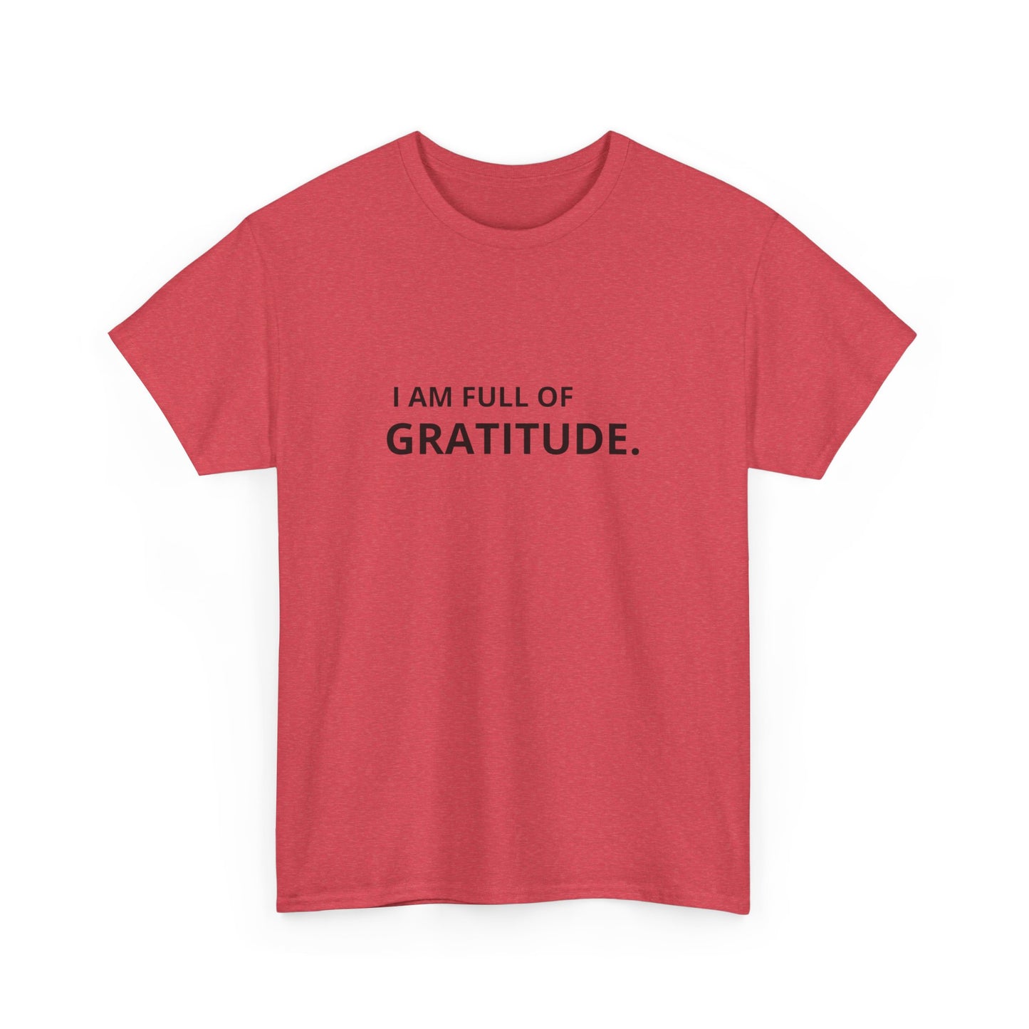 I Am Full Of Gratitude Graphic T Shirt NEW ADULT Tee