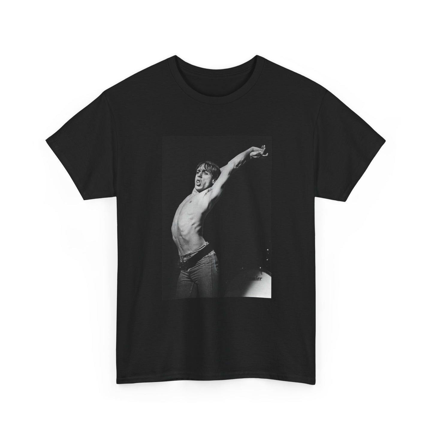 Iggy Pop Tshirt The Passenger Retro Rock New Lust For Life Unisex Heavy Cotton