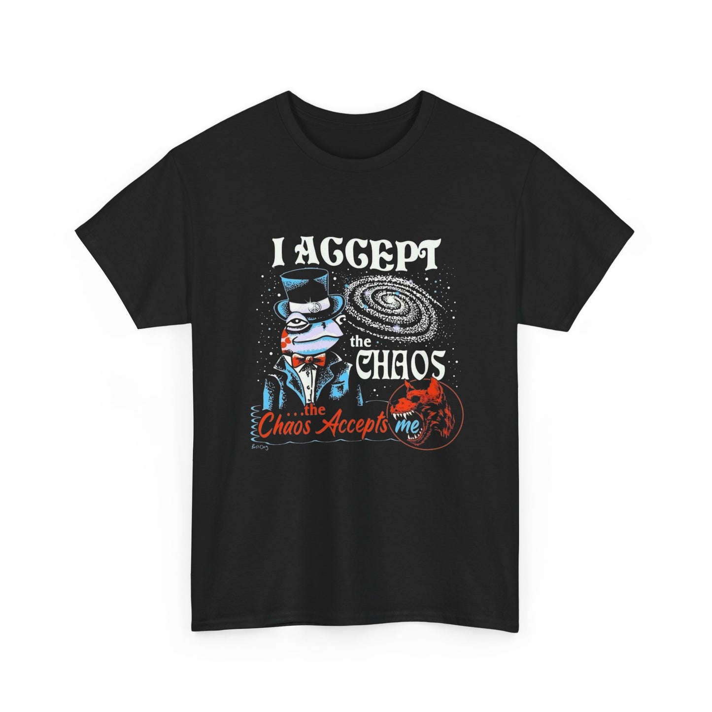 I Accept The Chaos Graphic T Shirt ADULT NEW Unisex Heavy Cotton Tee