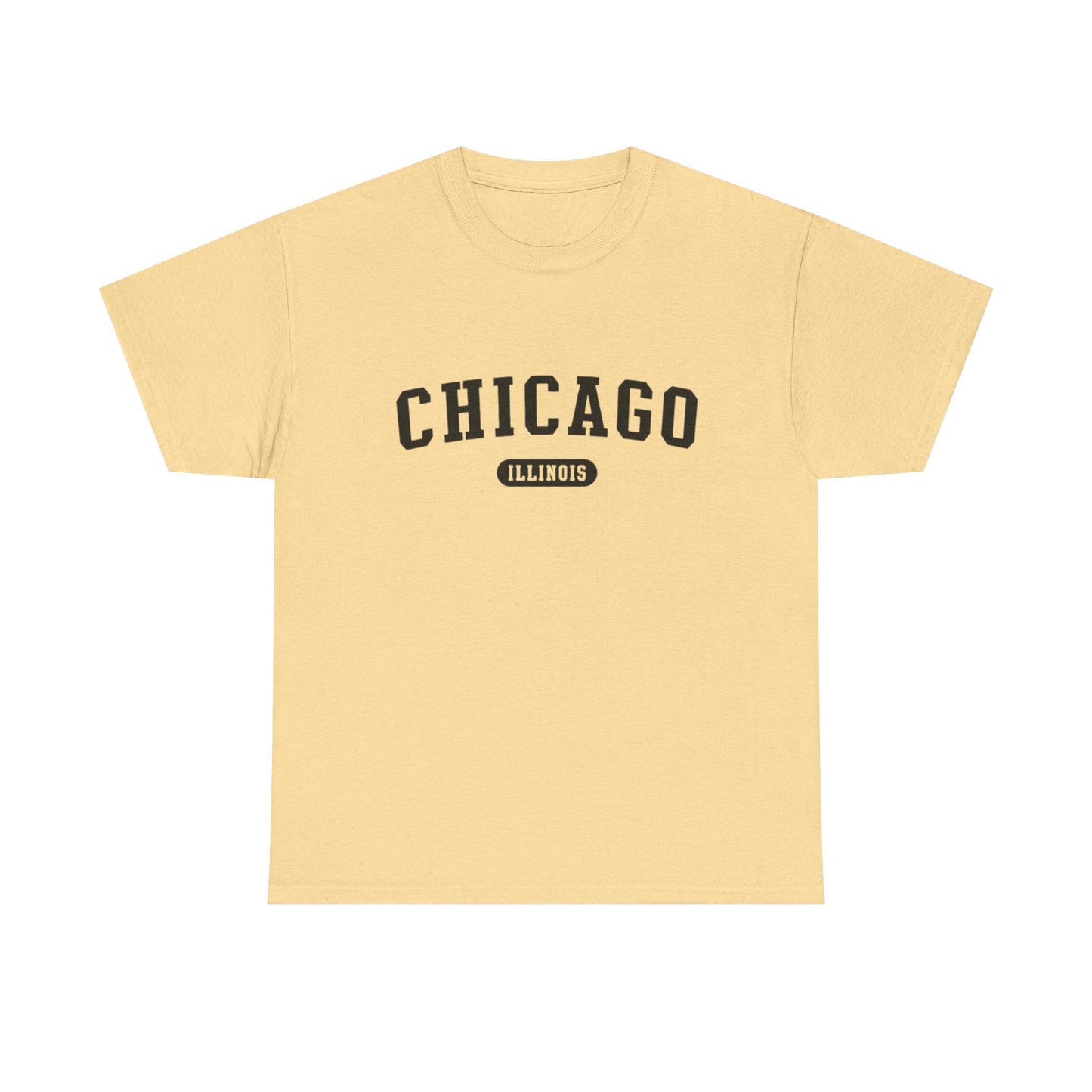 Chicago Illinois Graphic T Shirt ADULT NEW