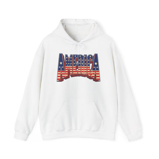 America Graphic Hoodie Unisex Heavy Blend™ Hooded Sweatshirt