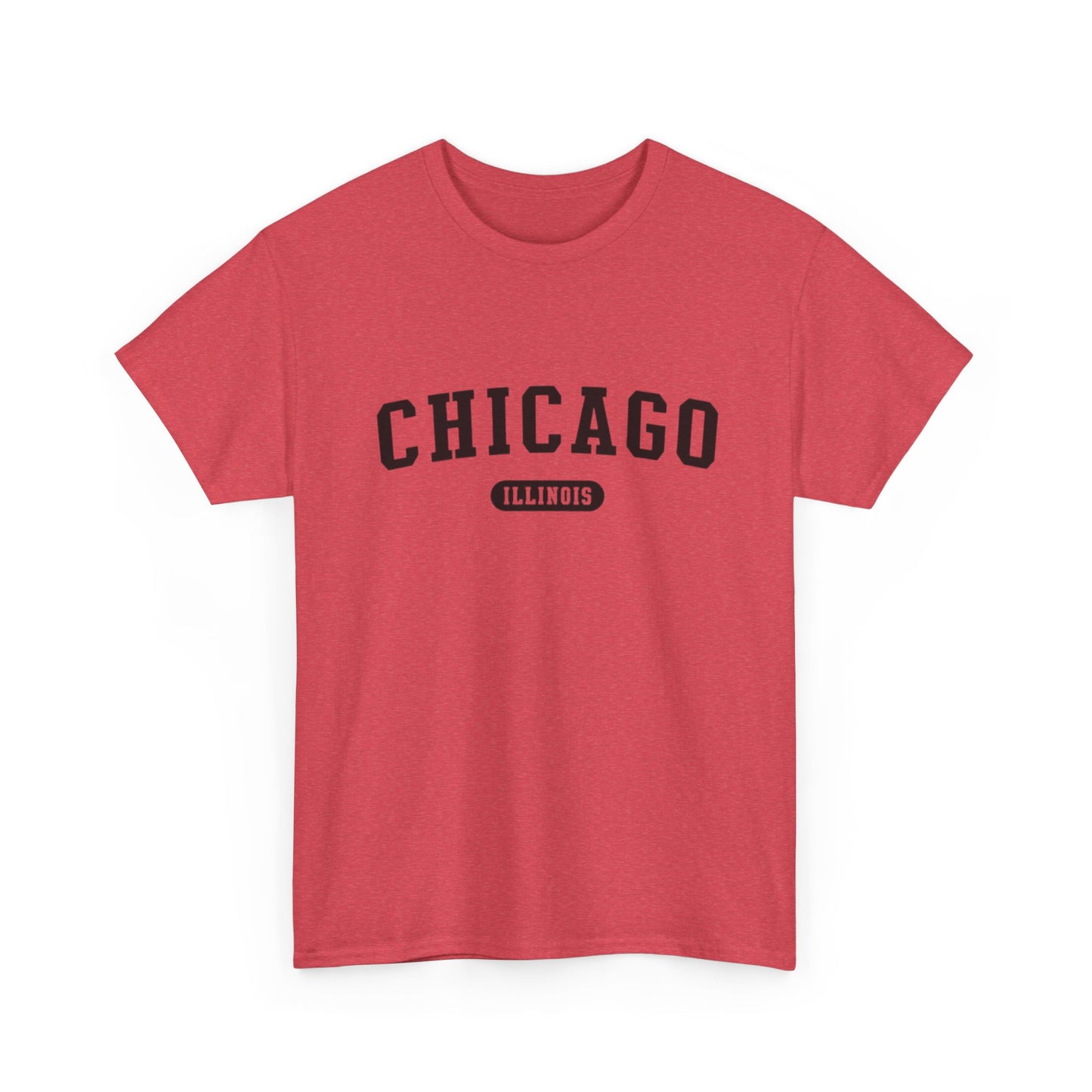 Chicago Illinois Graphic T Shirt ADULT NEW