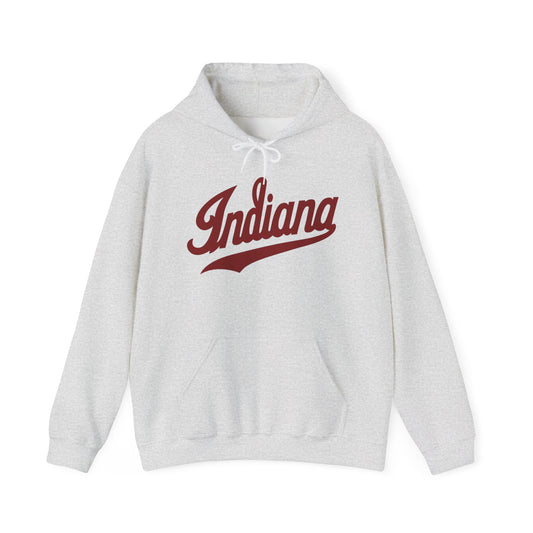 Indiana State Graphic Hoodie Unisex Heavy Blend™ Hooded Sweatshirt