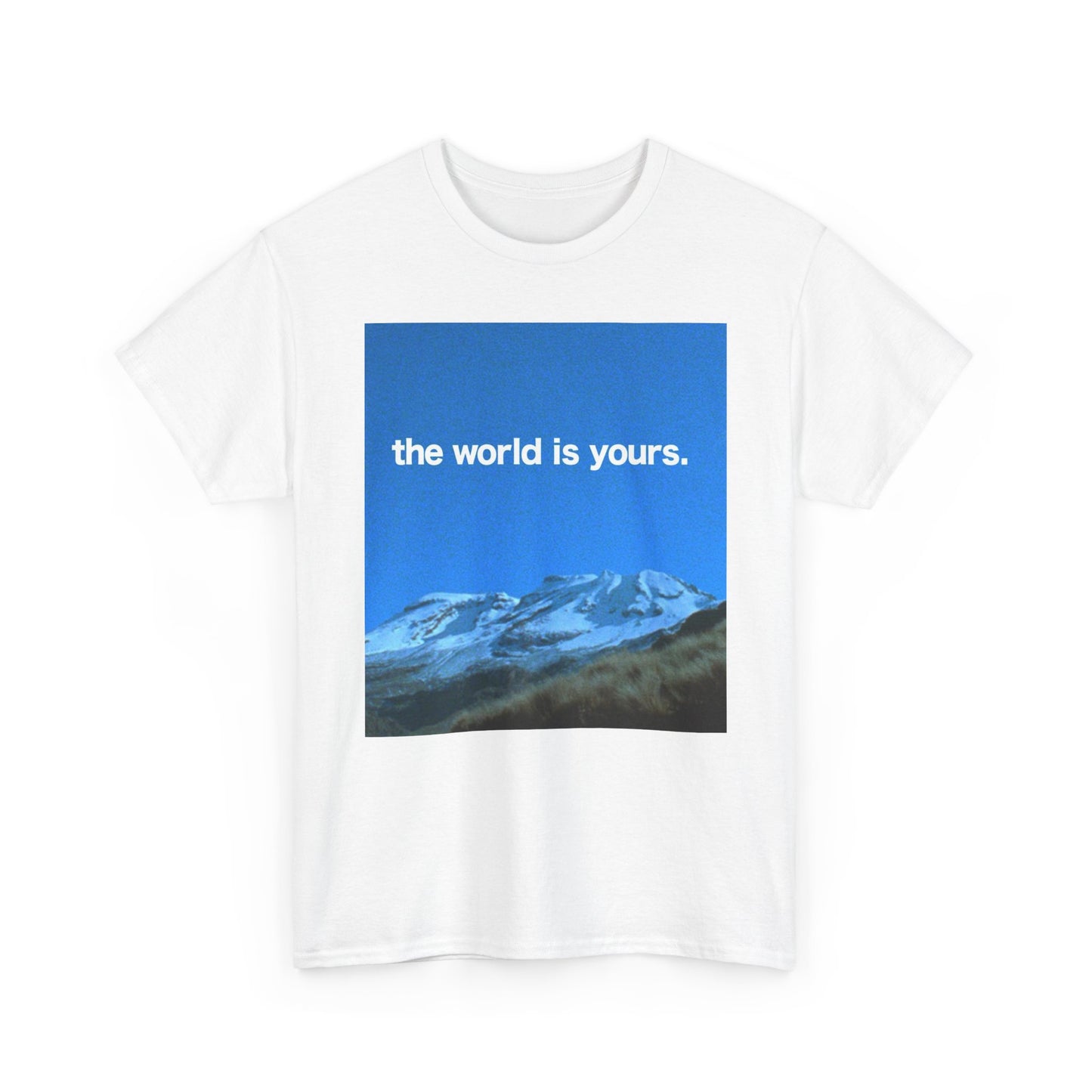 The World Is Yours Graphic T Shirt ADULT NEW Heavy Cotton Tee