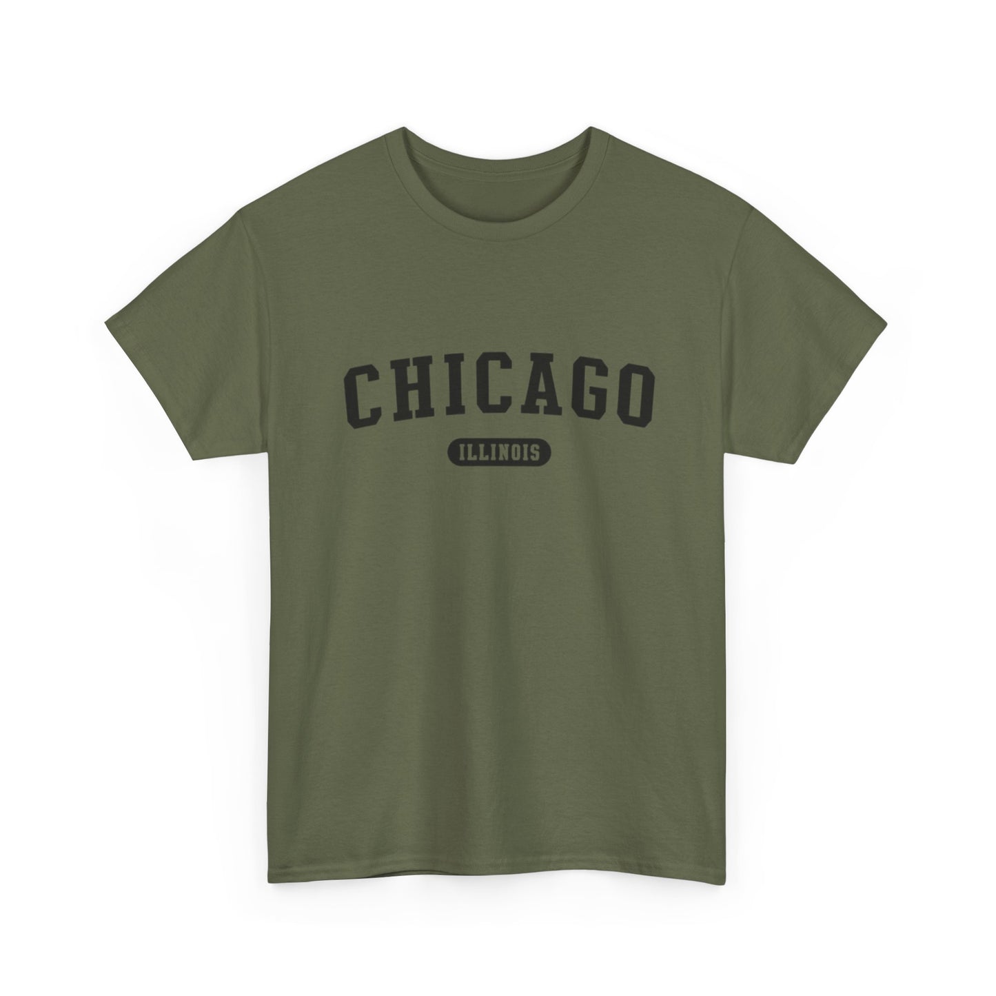 Chicago Illinois Graphic T Shirt ADULT NEW