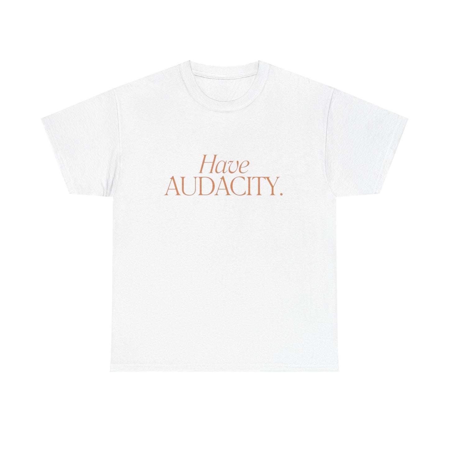 Have Audacity Graphic T Shirt NEW ADULT TEE VINTAGE