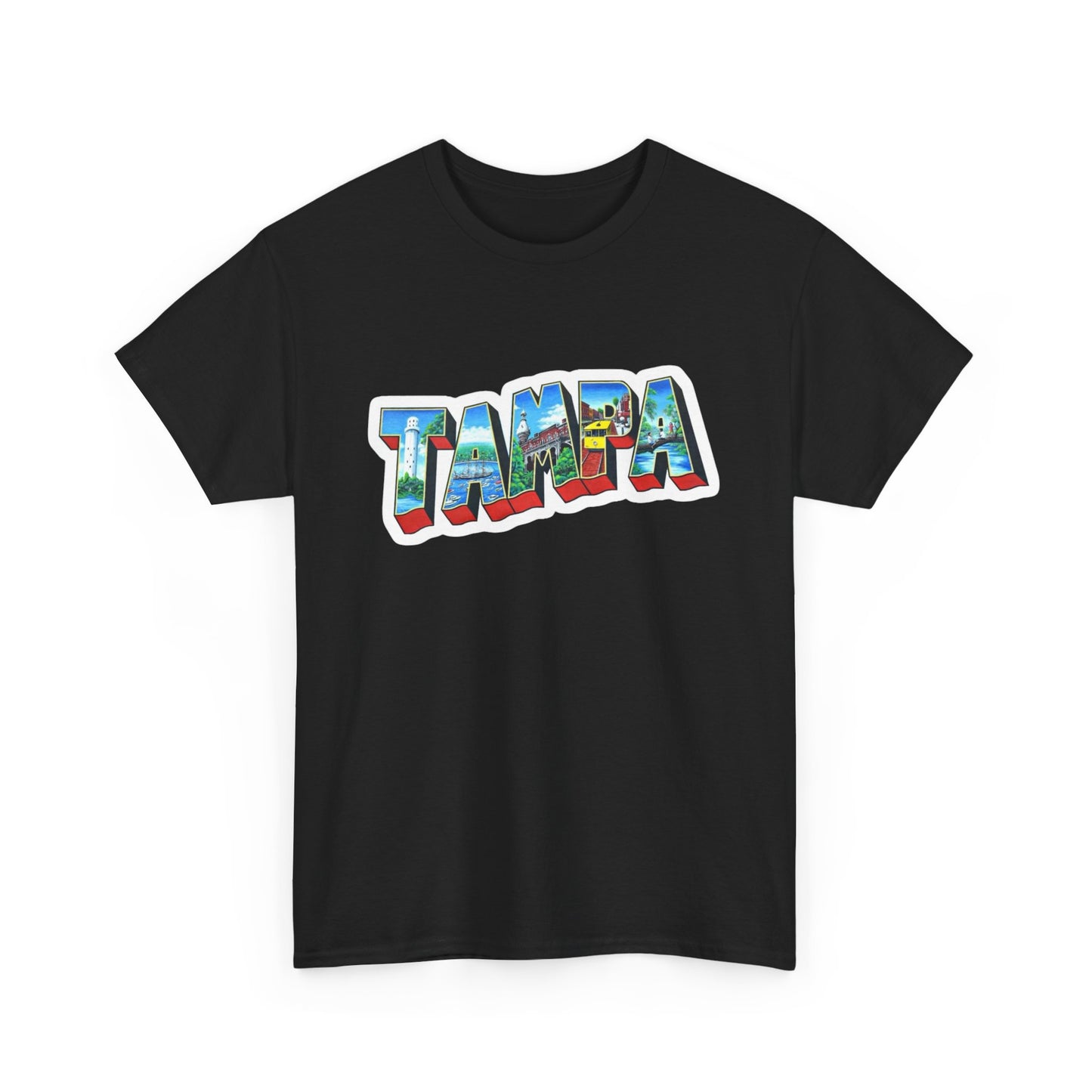 Tampa Bay FL Graphic T Shirt NEW ADULT
