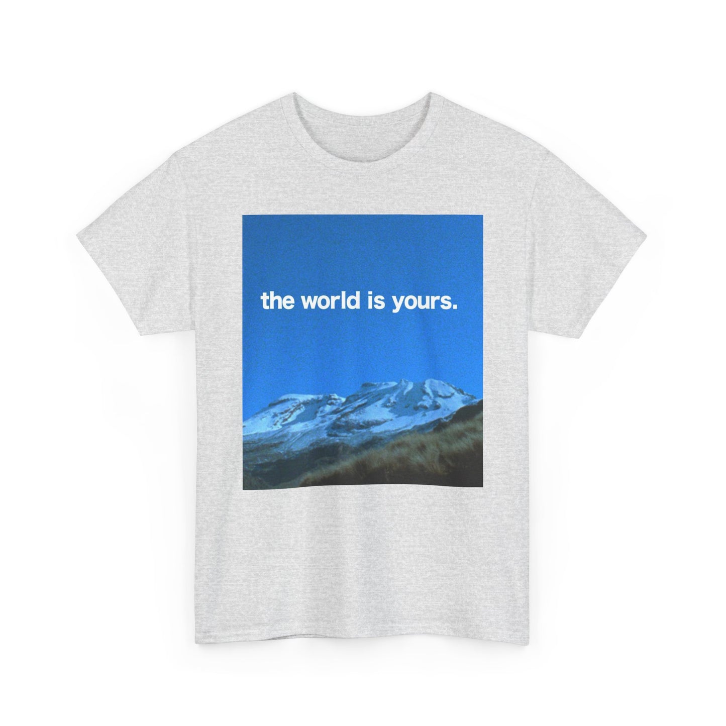 The World Is Yours Graphic T Shirt ADULT NEW Heavy Cotton Tee