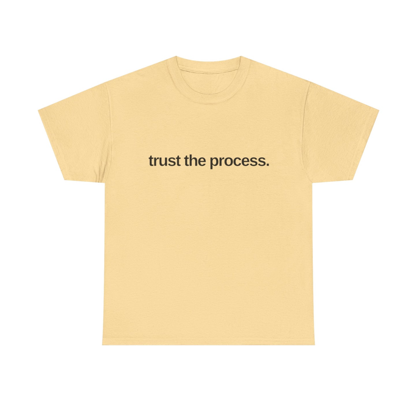 Trust The Process Graphic T Shirt NEW ADULT Tee