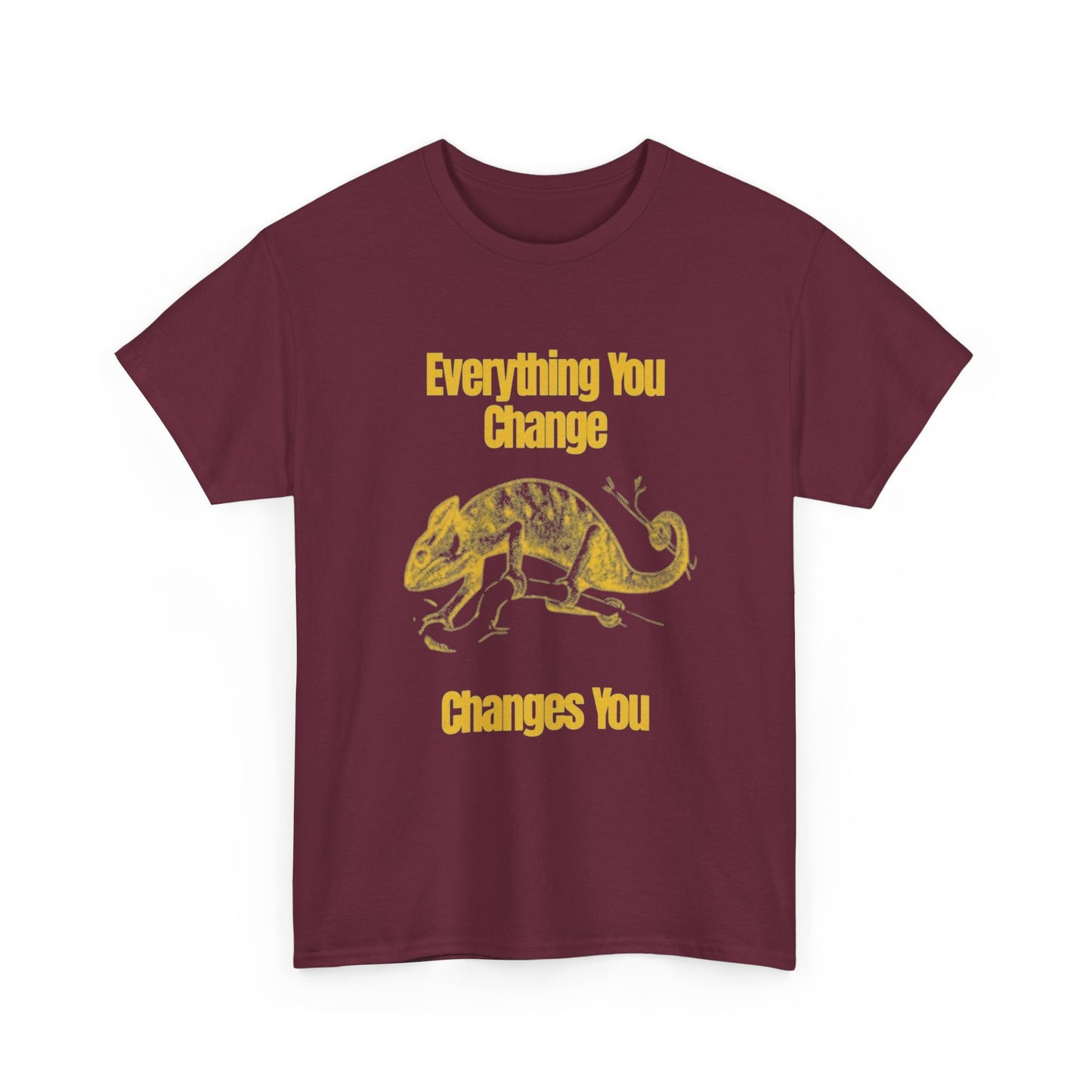 Everything You Change Changes You Graphic T Shirt Unisex Heavy Cotton Tee
