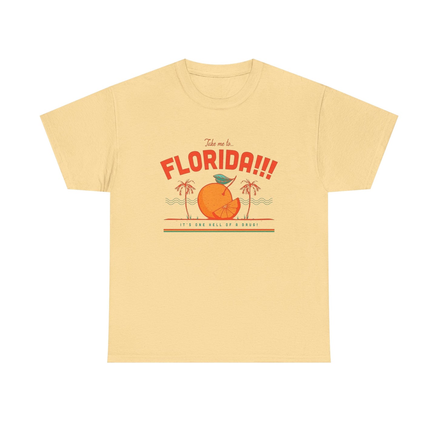 Take Me To Florida Funny Graphic T Shirt NEW Unisex Heavy Cotton Tee