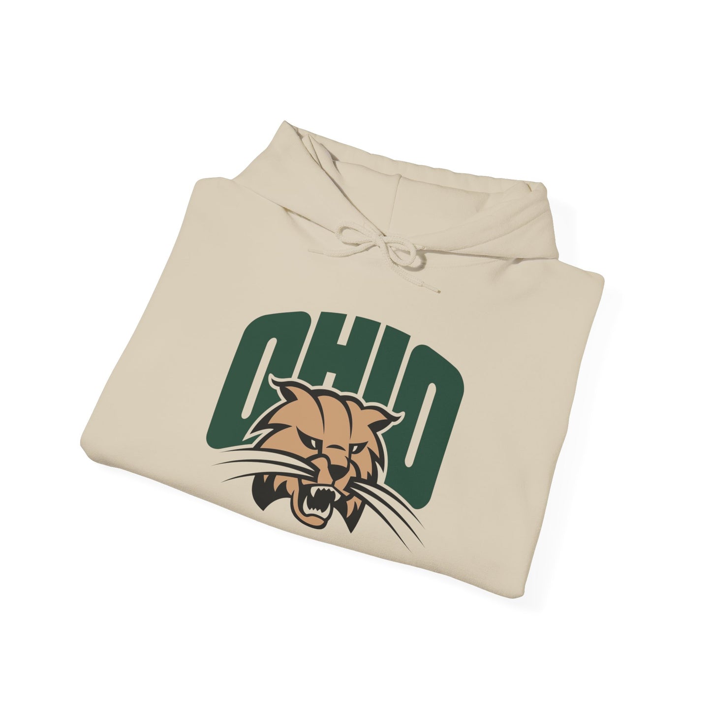 Ohio State Graphic Hoodie Unisex Heavy Blend™ Hooded Sweatshirt
