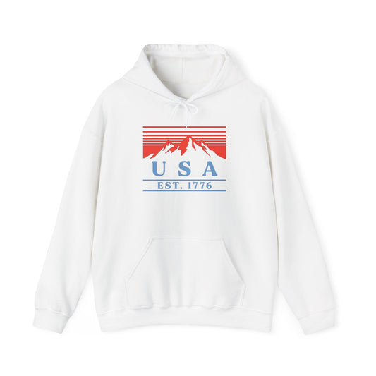 USA 1776 Graphic Hoodie Unisex Heavy Blend™ Hooded Sweatshirt