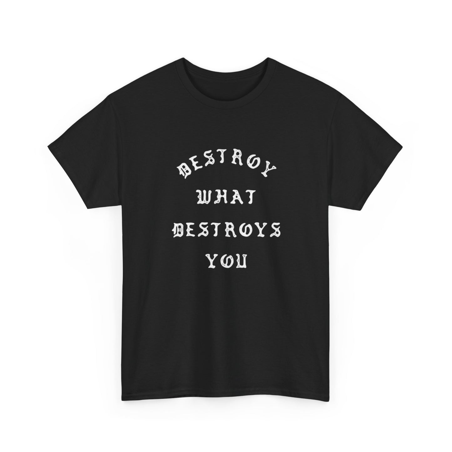 Destroy What Destroys You Graphic T Shirt NEW ADULT Heavy Cotton Tee