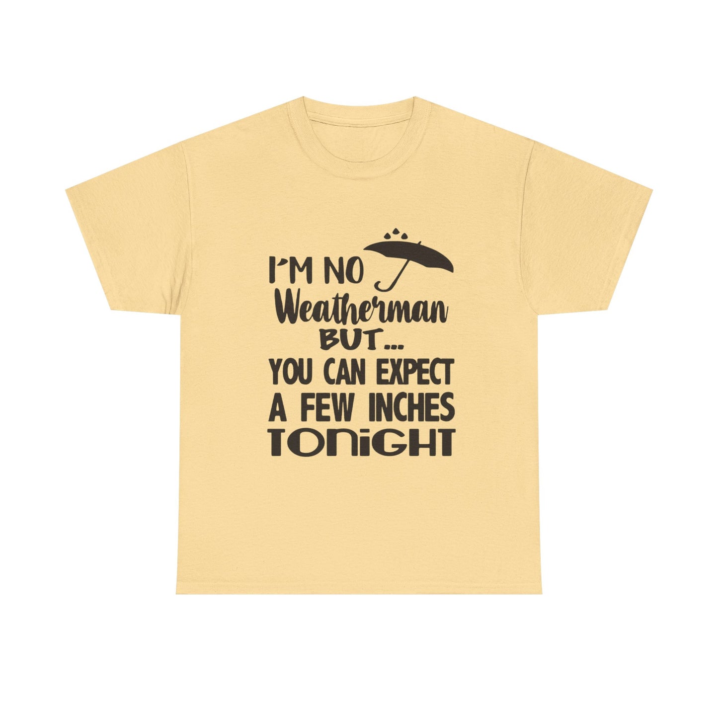 Hilarious Sex Humor Jokes Graphic T Shirt ADULT Unisex Heavy Cotton Tee