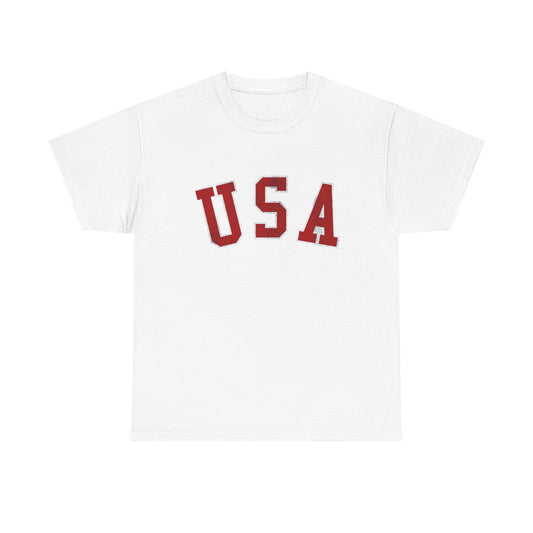 USA Graphic T Shirt NEW ADULT