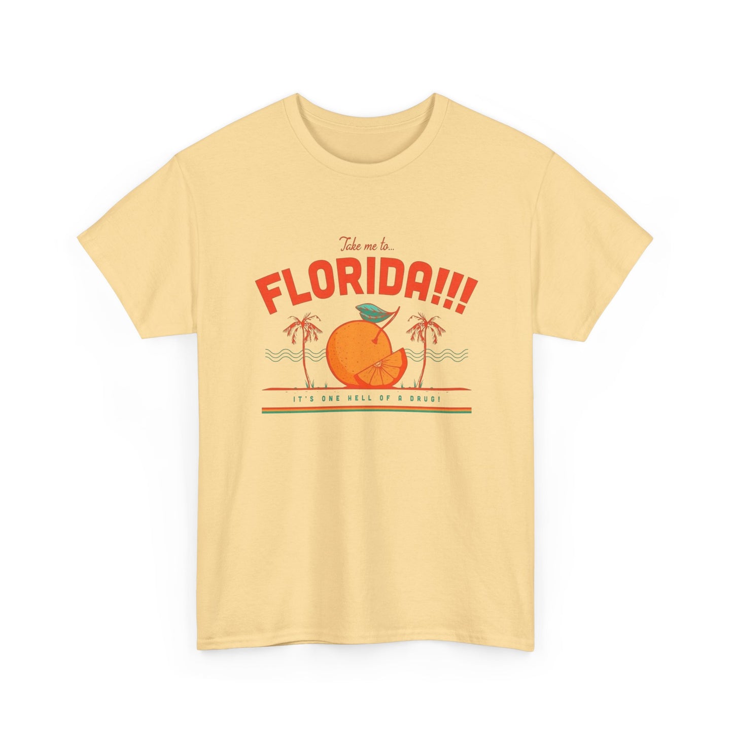 Take Me To Florida Funny Graphic T Shirt NEW Unisex Heavy Cotton Tee