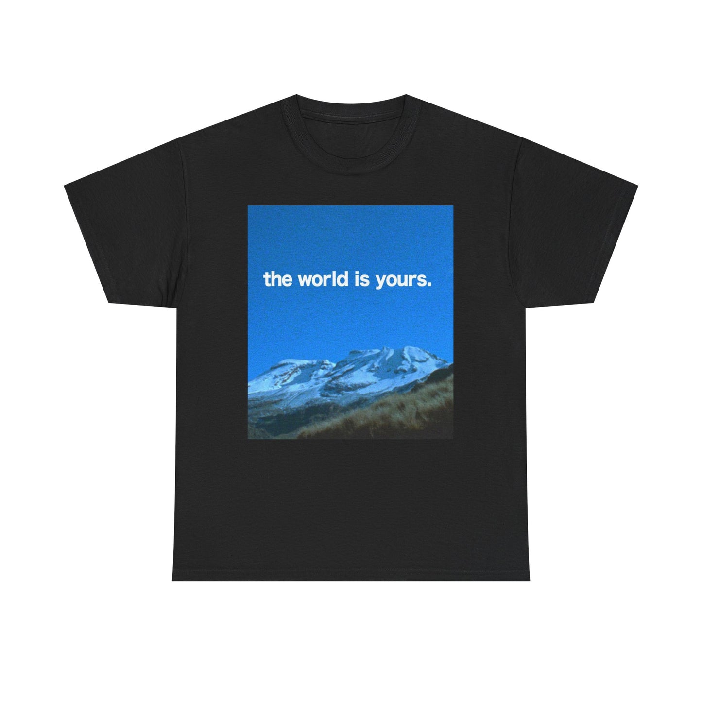 The World Is Yours Graphic T Shirt ADULT NEW Heavy Cotton Tee