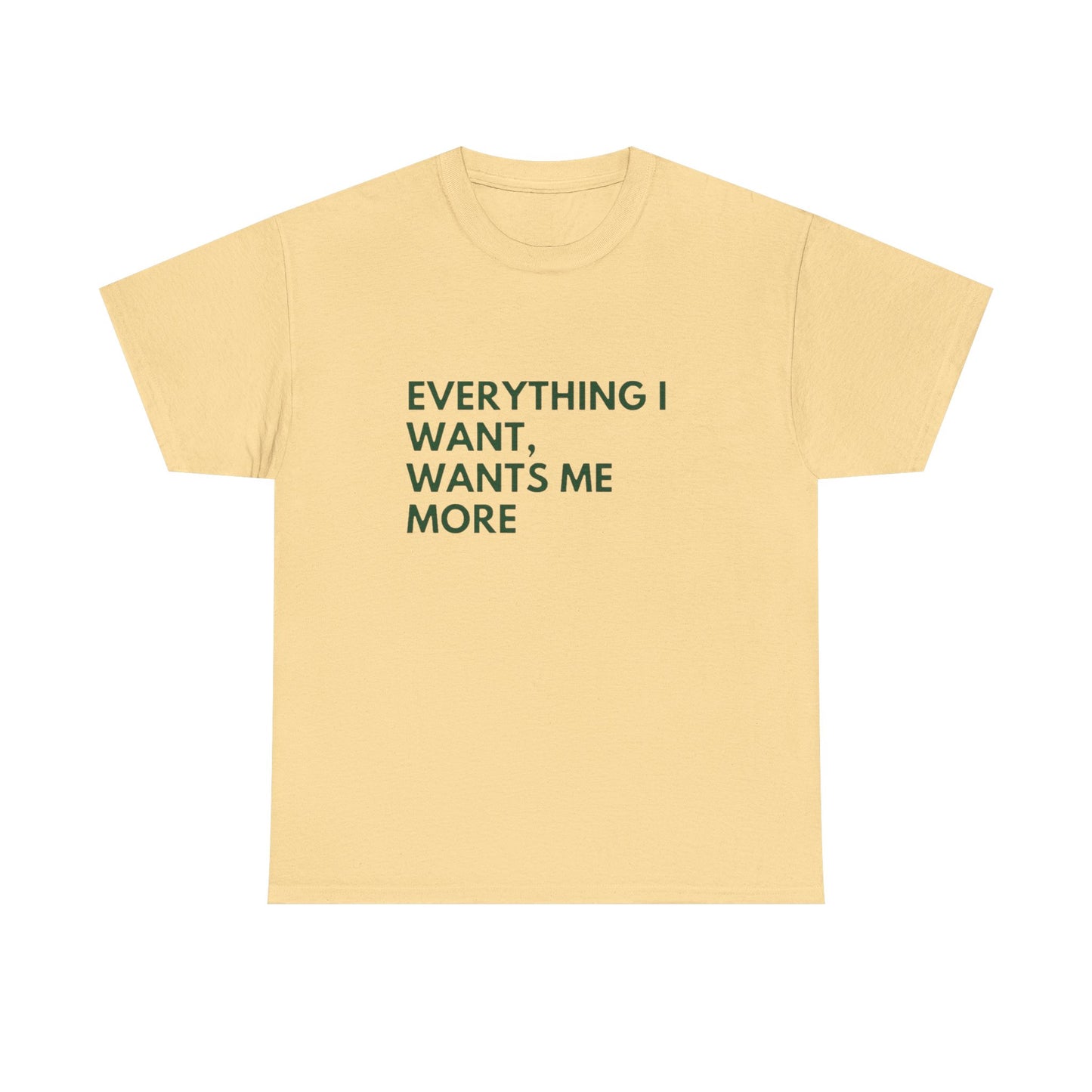 Everything I Want Wants Me More Graphic T Shirt NEW ADULT Tee