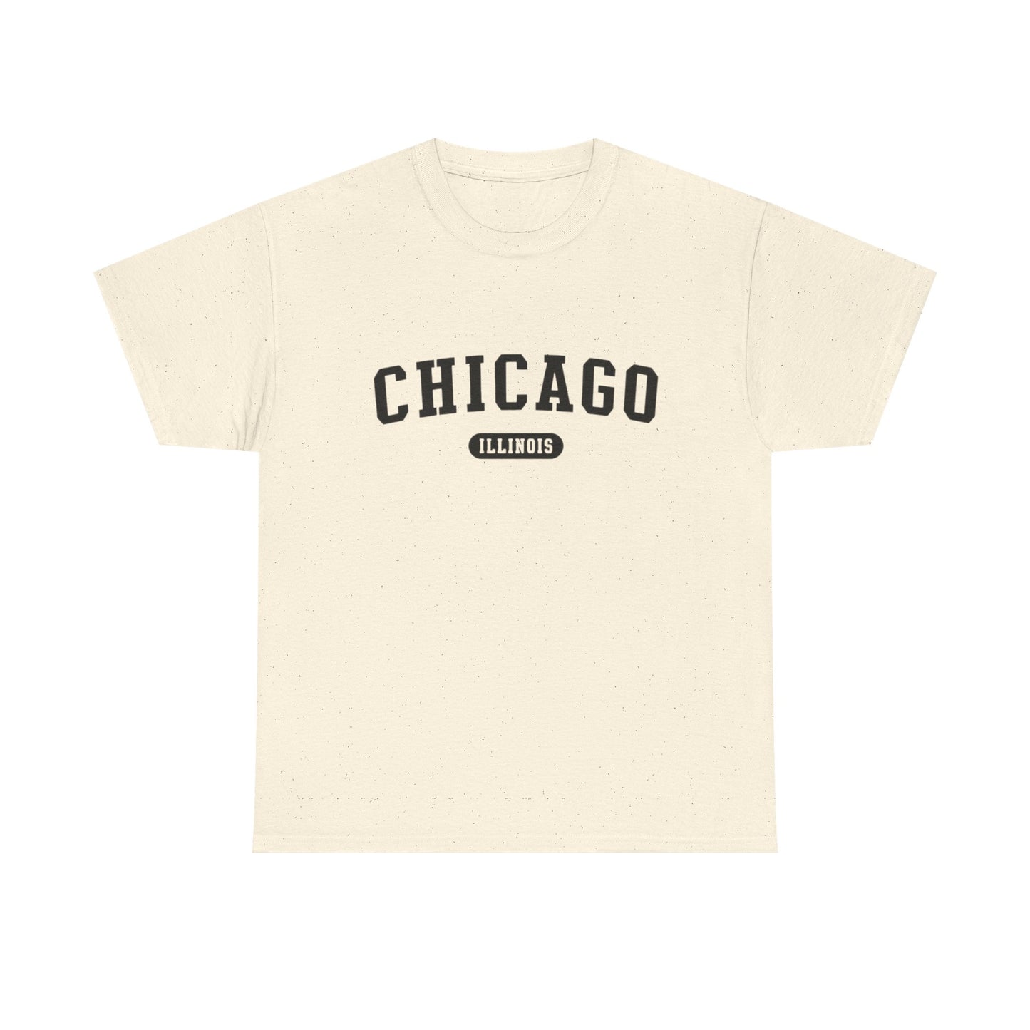 Chicago Illinois Graphic T Shirt ADULT NEW