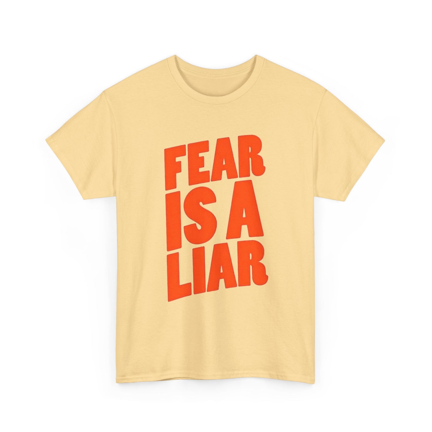Fear Is A Liar Graphic T Shirt NEW Unisex Heavy Cotton Tee