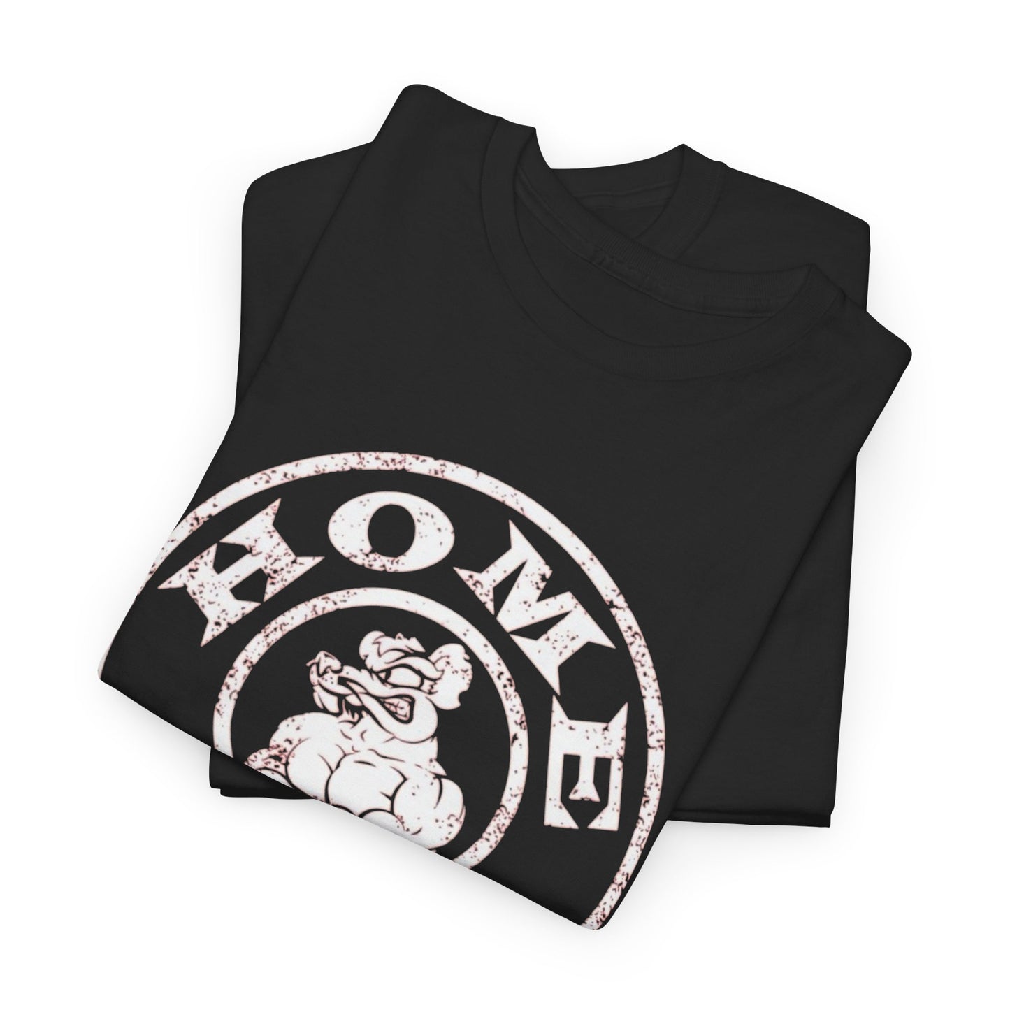 Home Gym Graphic T Shirt NEW Unisex Heavy Cotton Tee