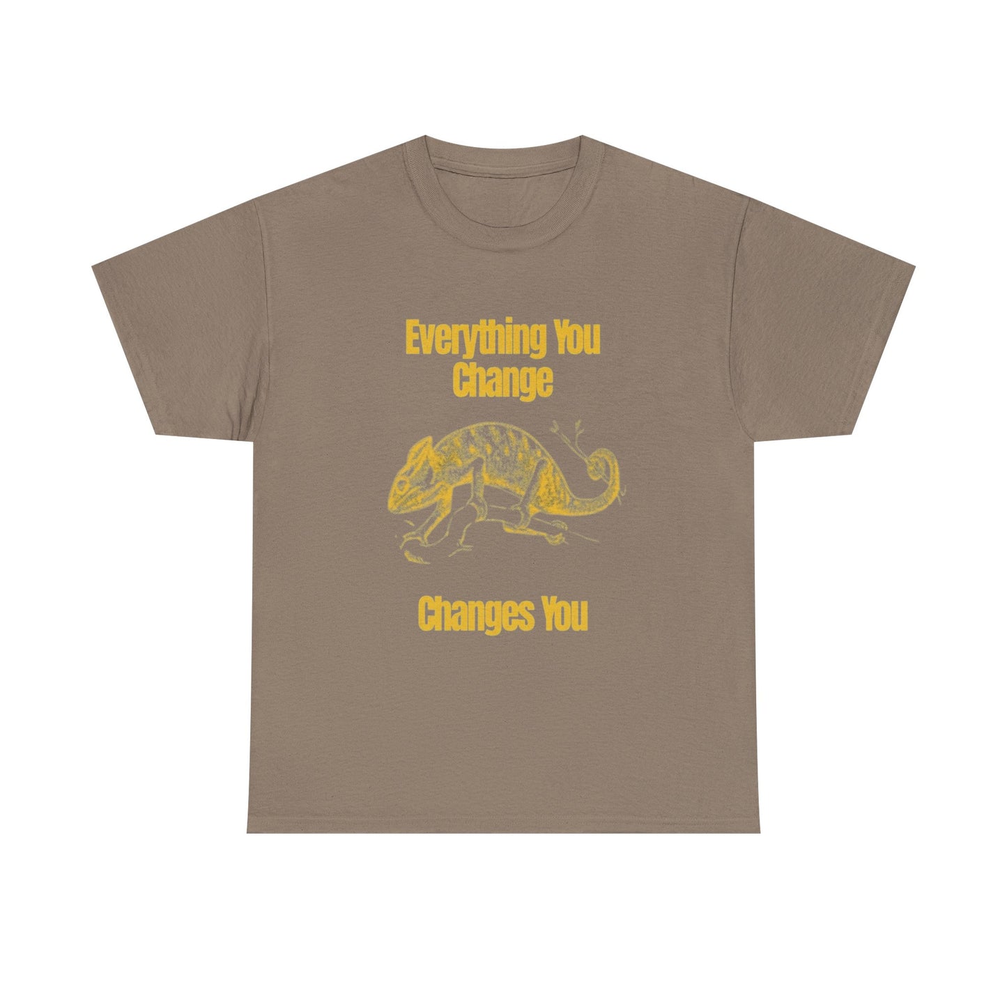 Everything You Change Changes You Graphic T Shirt Unisex Heavy Cotton Tee