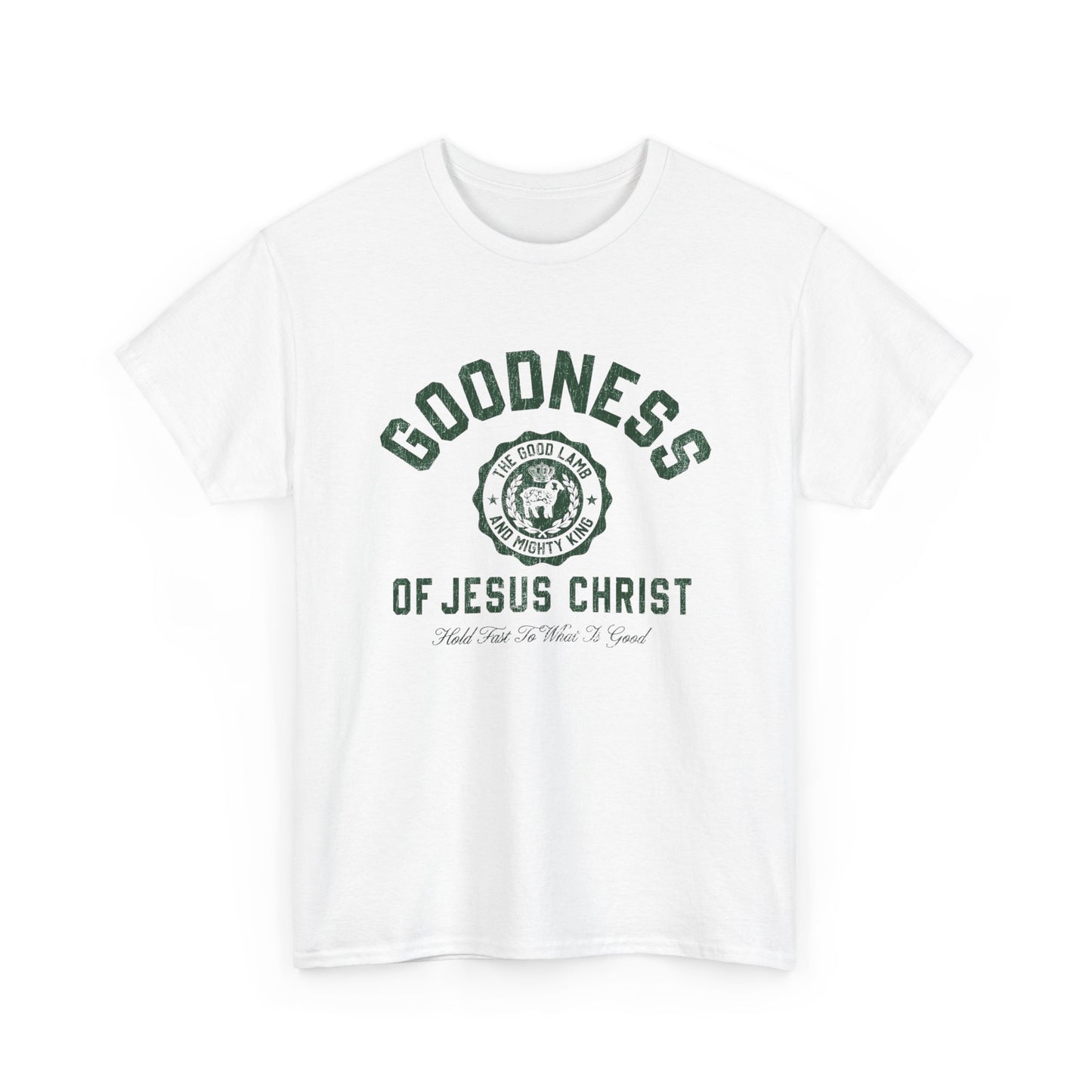 Goodness Of Jesus Christ Graphic T Shirt ADULT NEW