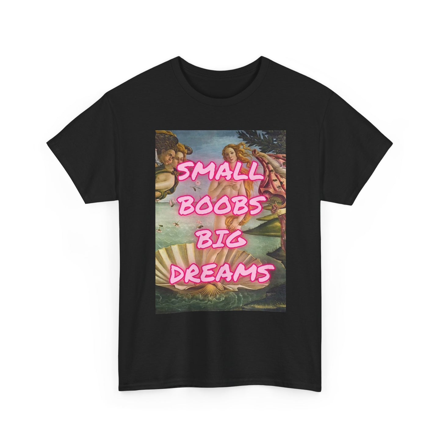 Small Boobs Big Dreams Graphic T Shirt Funny Jokes Gift Unisex Heavy Cotton Tee