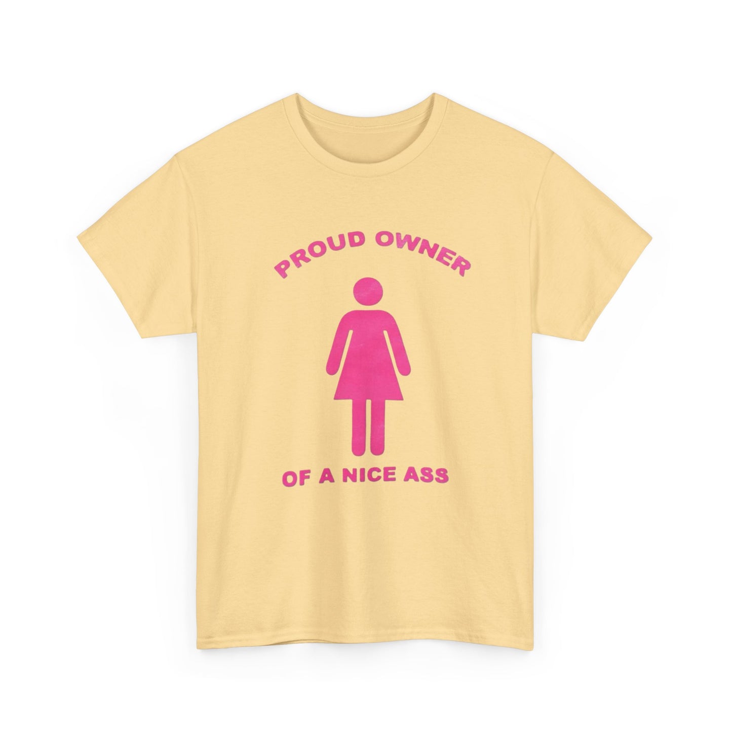Proud Owner Of A Nice Ass Graphic T Shirt NEW Adult Unisex Heavy Cotton Tee