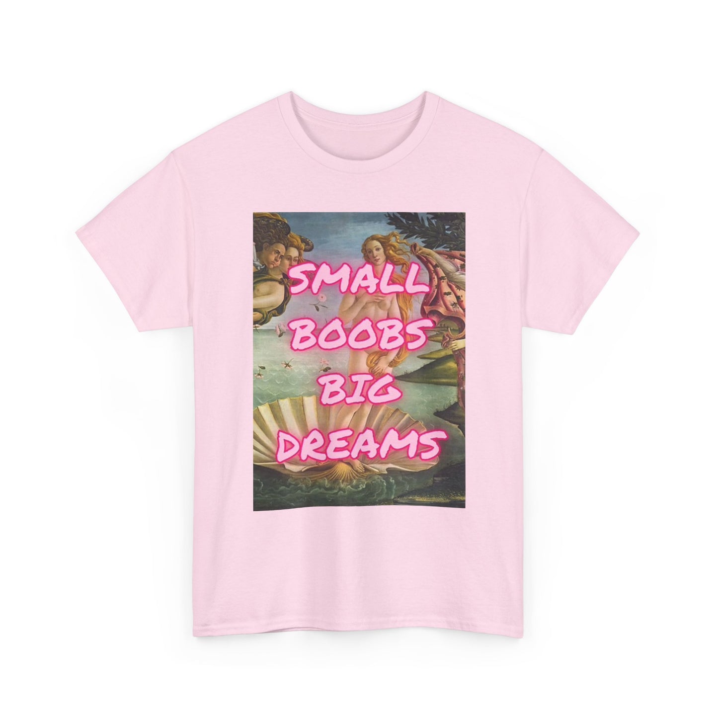 Small Boobs Big Dreams Graphic T Shirt Funny Jokes Gift Unisex Heavy Cotton Tee