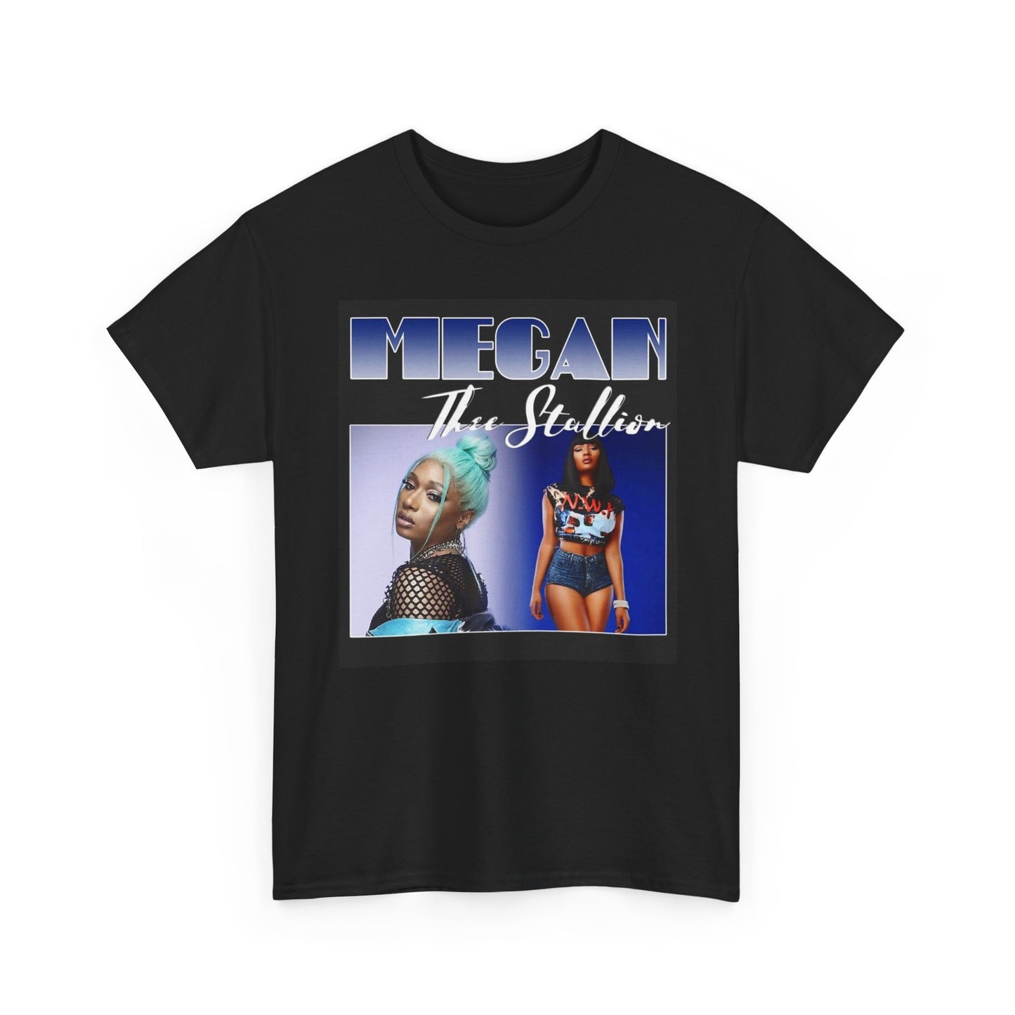 Megan The Stallion Graphic T Shirt Vintage Unisex Heavy Cotton Tee