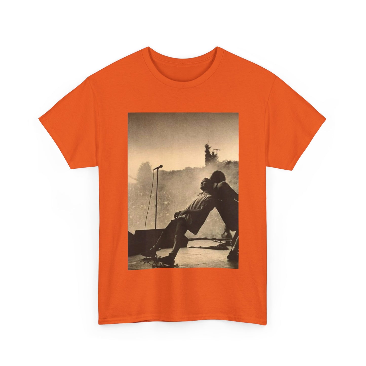 Pearl Jam TShirt vintage grunge stage  photo Unisex Heavy Cotton Tee OFFICIAL