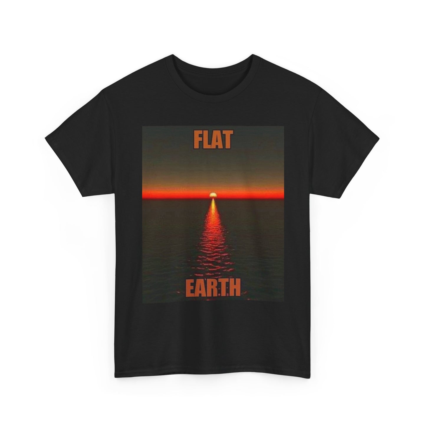 The Earth Is Flat Graphic T Shirt Adult NEW Unisex Heavy Cotton Tee