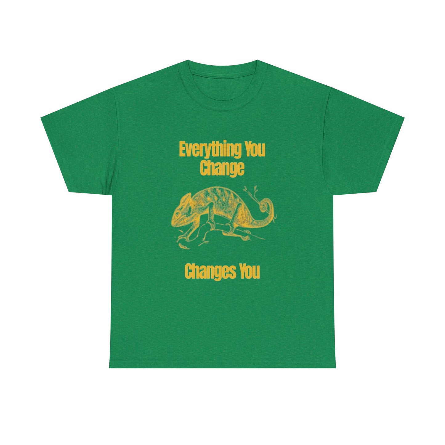 Everything You Change Changes You Graphic T Shirt Unisex Heavy Cotton Tee