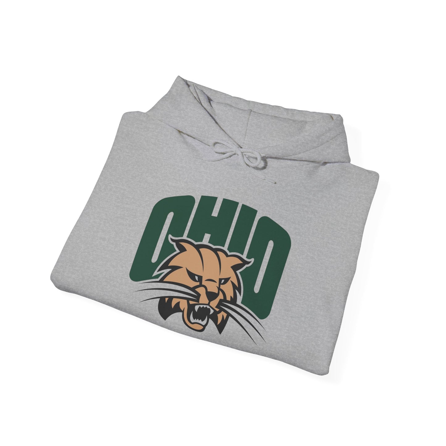 Ohio State Graphic Hoodie Unisex Heavy Blend™ Hooded Sweatshirt