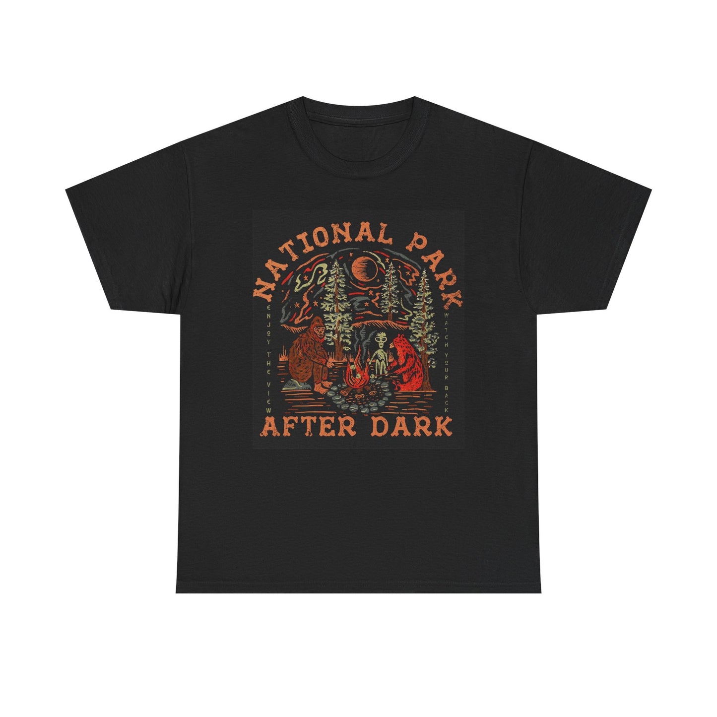 National Park After Dark Graphic T Shirt  Unisex Heavy Cotton Tee