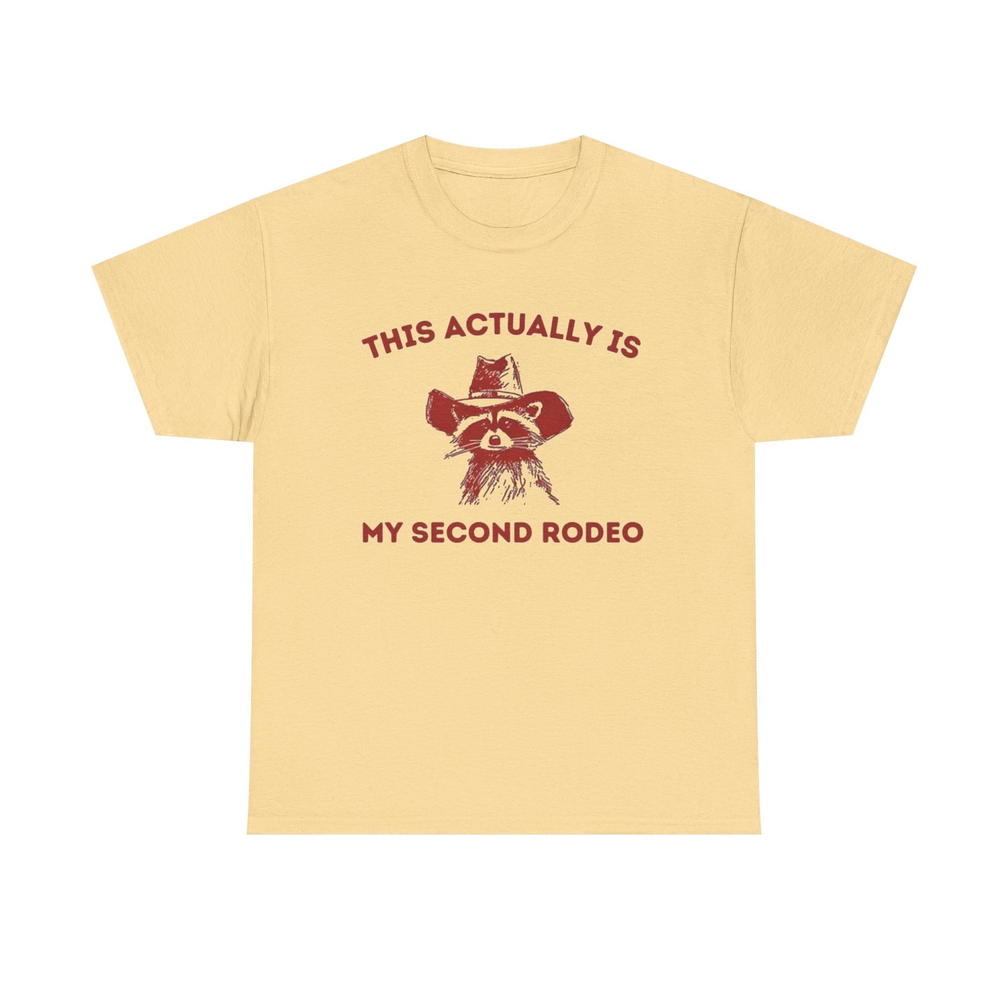 This Is My Second Rodeo Funny Graphic T Shirt Regular Men's Heavy Cotton Tee