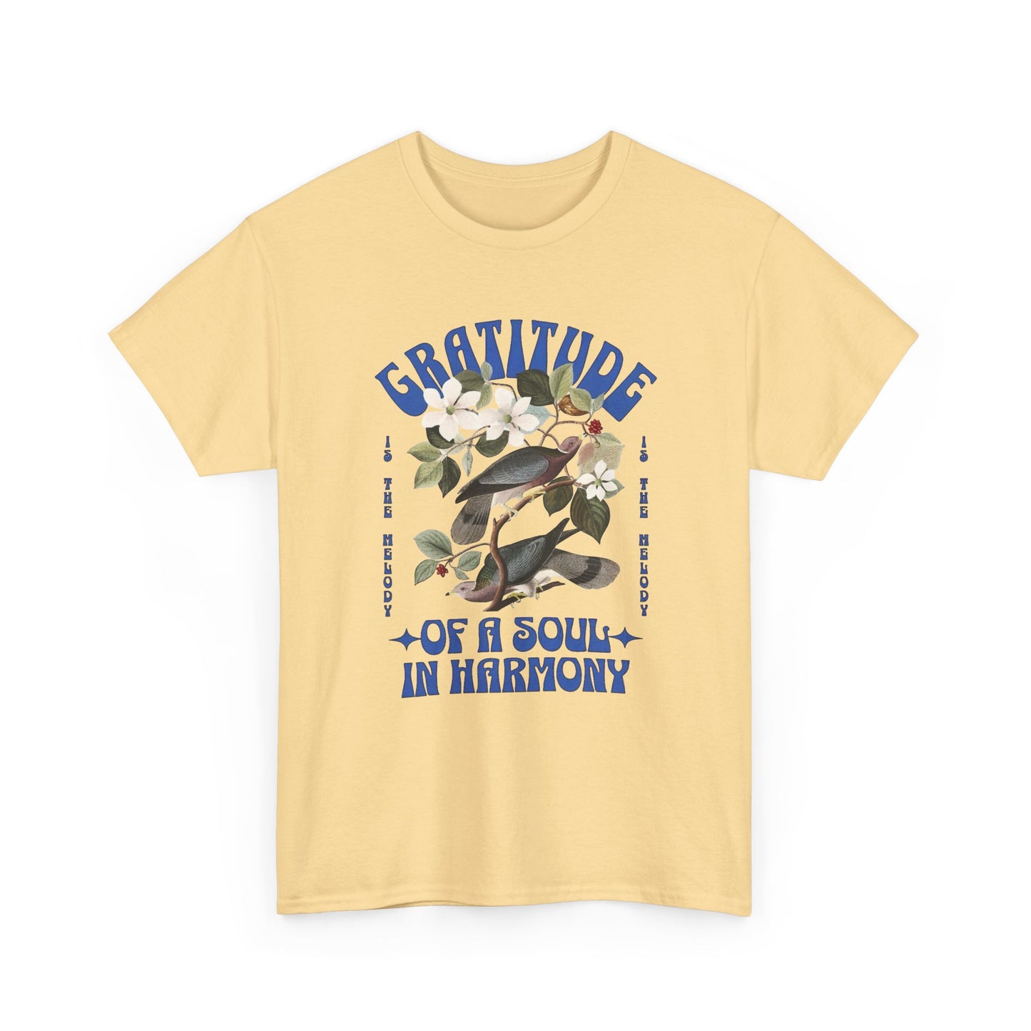 Gratitude Of A Soul And Harmony Graphic T Shirt Unisex Heavy Cotton Tee