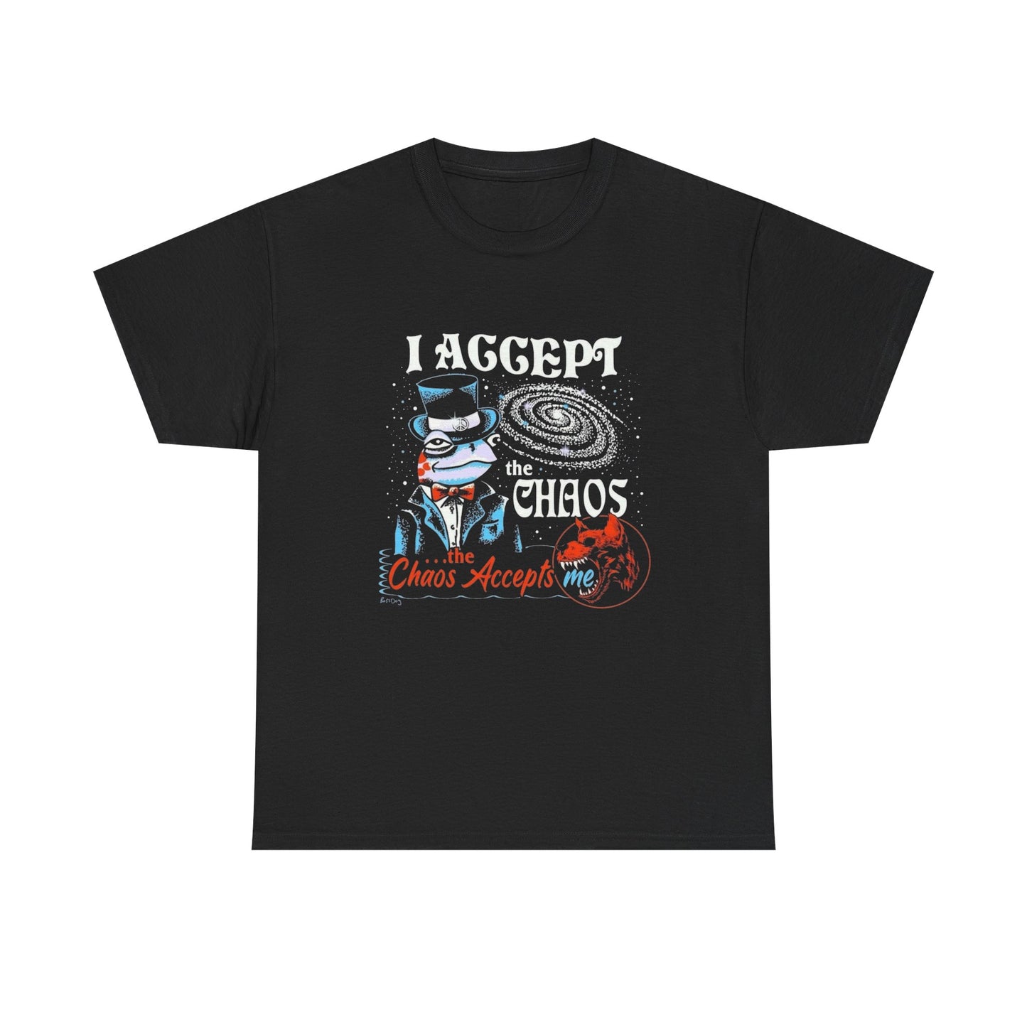 I Accept The Chaos Graphic T Shirt ADULT NEW Unisex Heavy Cotton Tee
